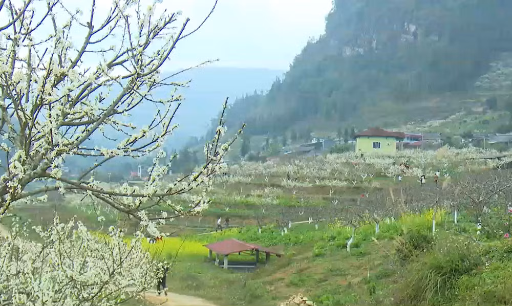 使老街省北河县发展成为特色旅游目的地 ảnh 2