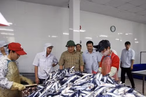 广治省资助渔民继续出海捕捞 ảnh 1