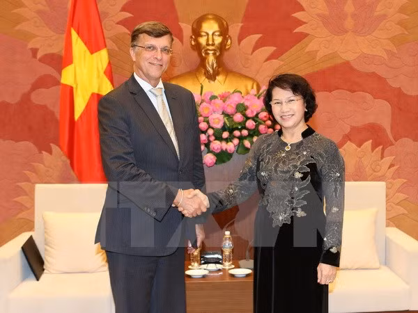 越南国会主席阮氏金银会见澳大利亚驻越大使 ảnh 1 越南国会主席阮氏金银会见澳大利亚驻越大使 ảnh 1