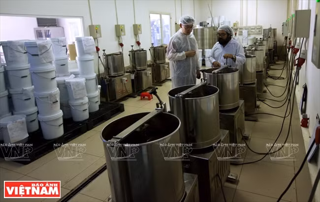 越南可可制成的Marou巧克力 ảnh 2