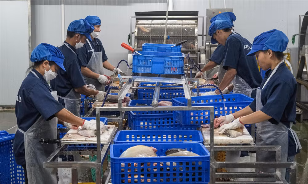 河内市两个合作社的典型范例 ảnh 1