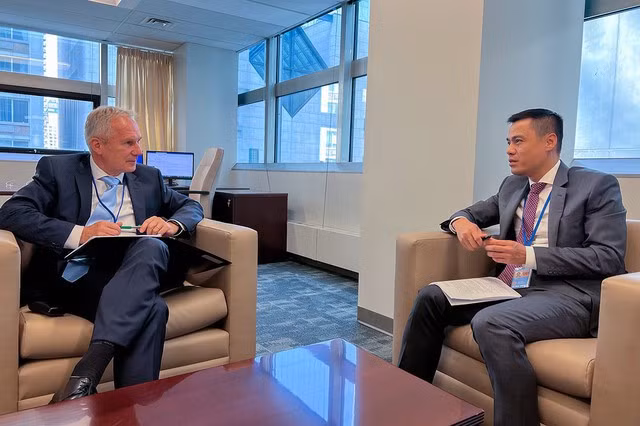 越南将积极参与并为推动国际社会共同议程作出贡献 ảnh 1