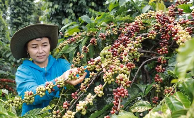 越南多个行业超额完成全年出口目标 ảnh 1