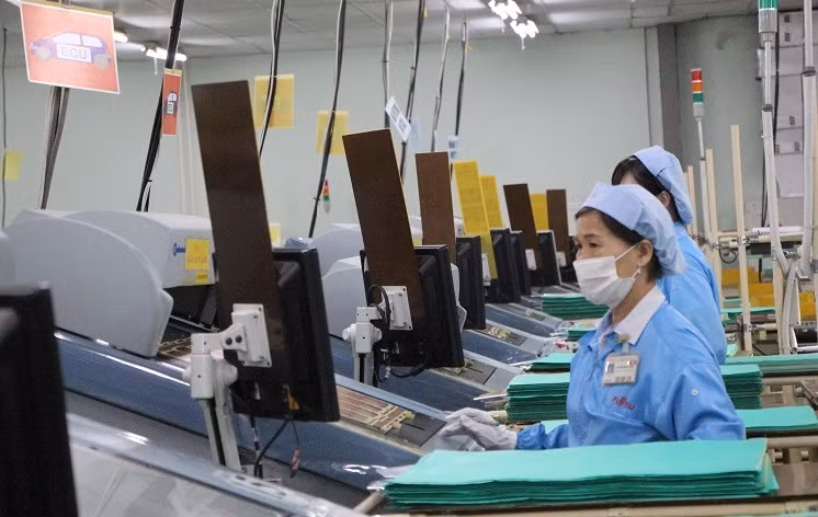 胡志明市释放发展资源 ảnh 1