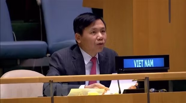 越南与联合国安理会：越南主持有关国际法庭工作组会议 ảnh 1