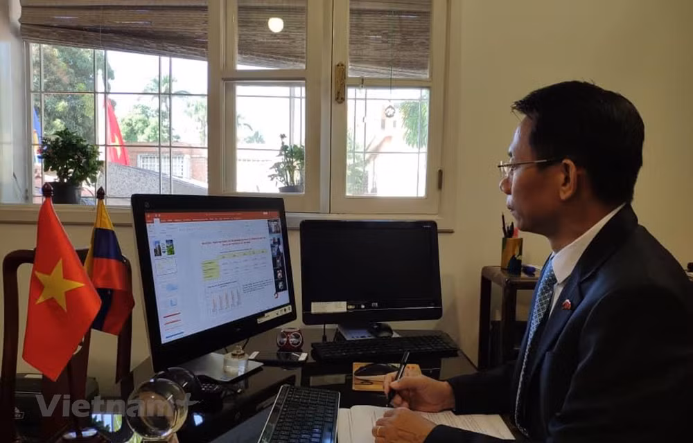 委内瑞拉-越南商会正式揭牌 助推两国经贸合作走深走实 ảnh 1