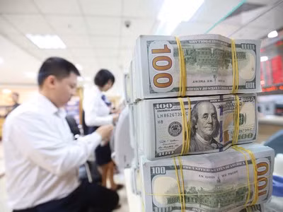 2020年胡志明市侨汇收入约达&nbsp;55 亿美元 ảnh 1