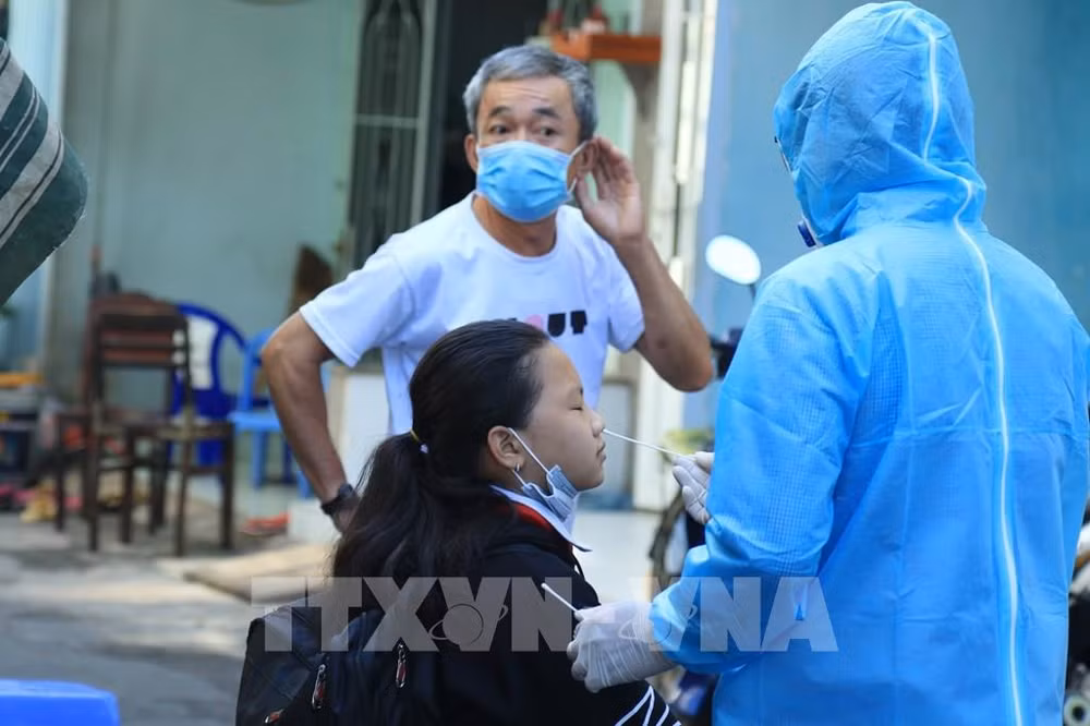 新冠肺炎疫情：越南无新增新冠肺炎确诊病例 新增11例治愈病例 ảnh 1