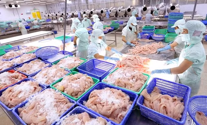 越南水产企业乘风破浪 扬帆起航 ảnh 1