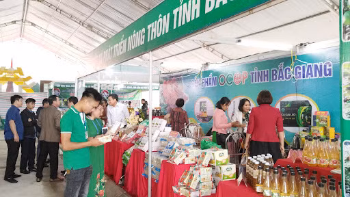 北江省推动"一乡一品"产品多元化高质量发展 ảnh 1 北江省推动"一乡一品"产品多元化高质量发展 ảnh 1