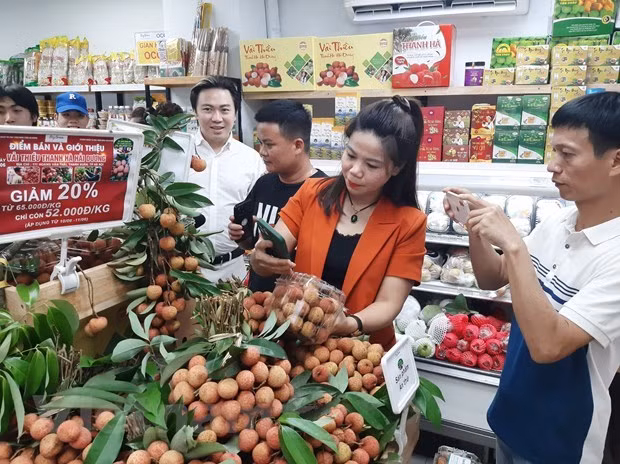 努力促进越南农产品对中国出口 ảnh 2