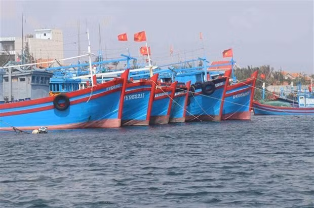 越南农业与农村发展部要求采取有力举措打击IUU捕捞 ảnh 3
