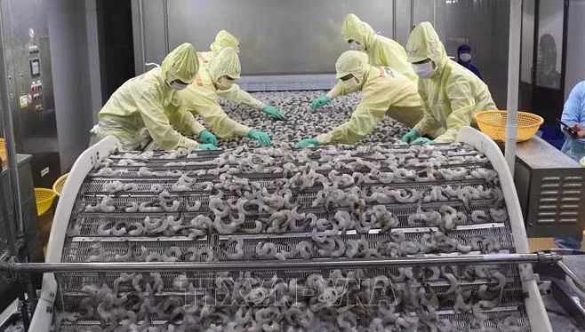 上半年经济发展情况：越南狠抓工作落实 努力实现“双重目标” ảnh 1