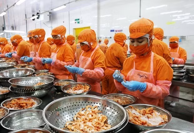 《越南与英国自由贸易协定》：为越英贸易发展注入强劲动力 ảnh 1