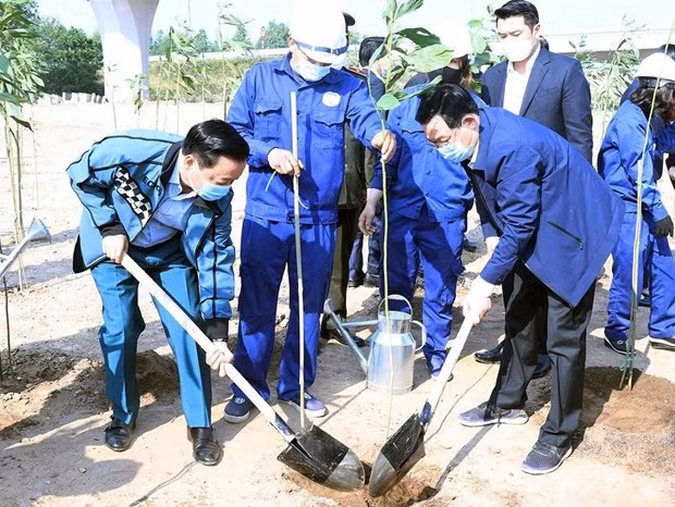 越南利用智能手机上4.0数字技术应用程序建立树图数据库 ảnh 2