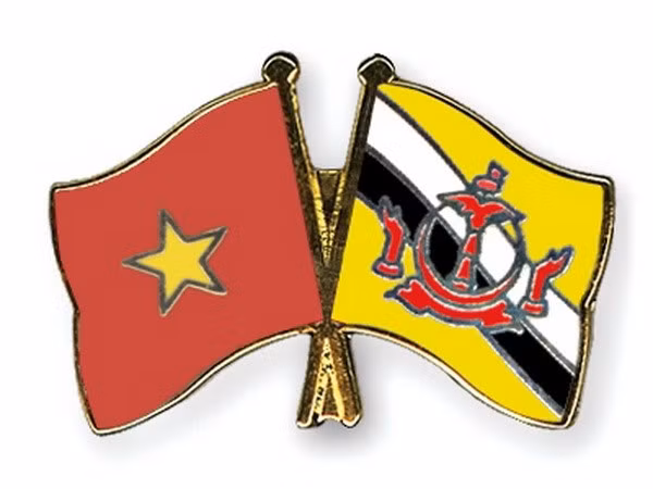 越南党和国家领导人向文莱领导人致贺电 ảnh 1