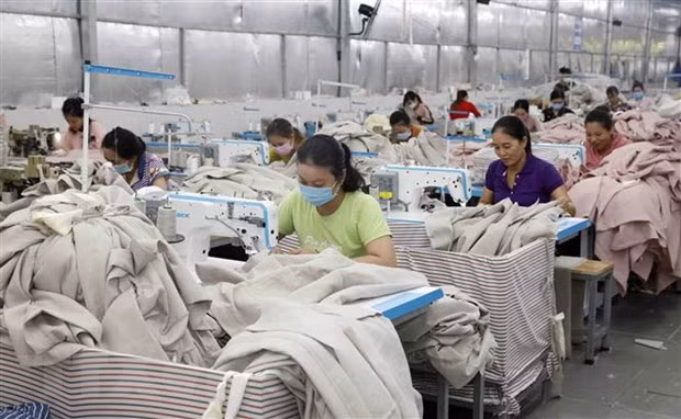 俄越友好协会：越共十三大在多方面上取得成功 ảnh 2