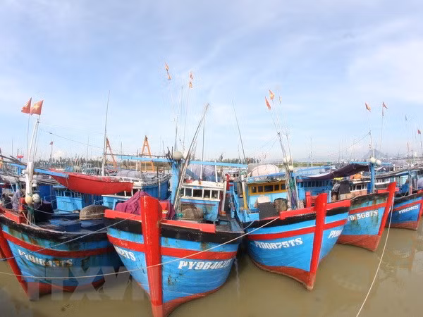 薄辽省进一步增强渔民对法律的认识 ảnh 1