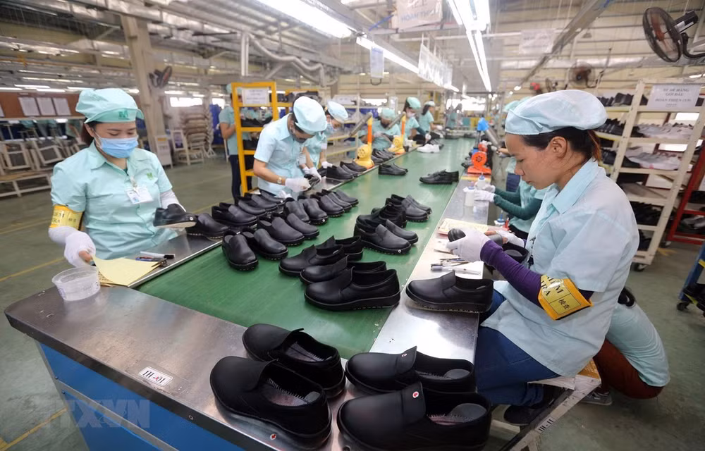 越南皮鞋产业努力克服困难 更深更广地参与国际市场 ảnh 2