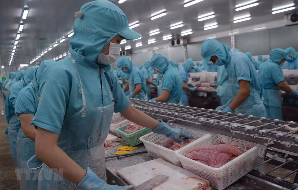 越南力争至2030年农林水产品出口额达620亿美元 ảnh 1