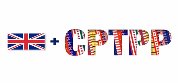 越南愿同英国分享加入CPTPP的相关信息和经验 ảnh 1 越南愿同英国分享加入CPTPP的相关信息和经验 ảnh 1