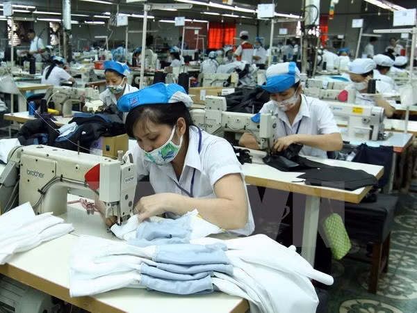 越南同奈省多家企业用工需求增加 ảnh 1