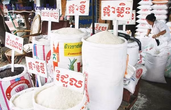 今年前7个月柬埔寨大米出口量达29.78万吨 ảnh 1