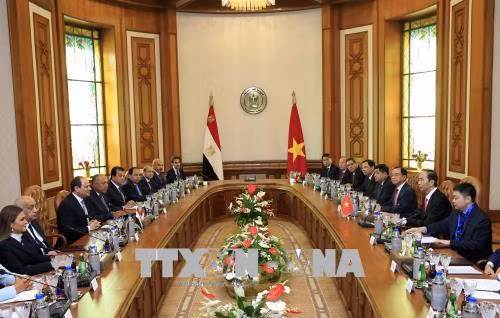 越南国家主席陈大光与埃及总统阿卜杜勒·法塔赫·塞西举行会谈 ảnh 2