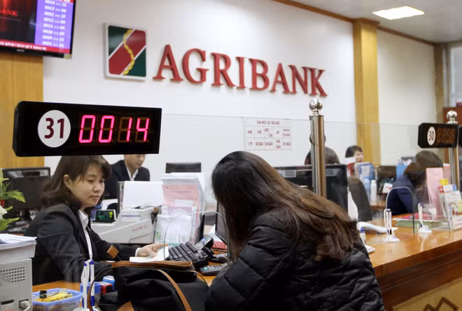越南Agribank银行为高科技农业提供优惠贷款 ảnh 1 越南Agribank银行为高科技农业提供优惠贷款 ảnh 1