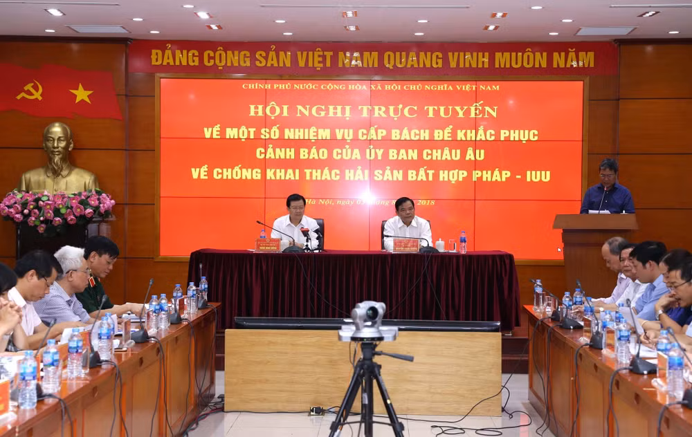 越南多措并举解决越南渔业“黄牌”警告问题 ảnh 1
