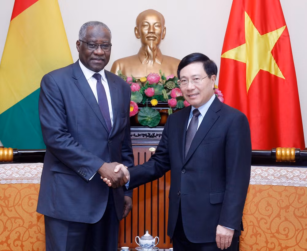 越南政府副总理兼外交部长范平明会见几内亚外交和海外侨民部长杜尔 ảnh 1 越南政府副总理兼外交部长范平明会见几内亚外交和海外侨民部长杜尔 ảnh 1