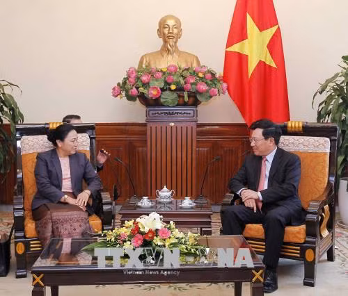 越南政府副总理兼外交部长范平明会见老挝外交副部长 ảnh 2