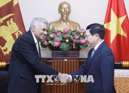越南政府副总理兼外交部长范平明会见斯里兰卡总理拉尼尔•维克勒马辛哈 ảnh 1 越南政府副总理兼外交部长范平明会见斯里兰卡总理拉尼尔•维克勒马辛哈 ảnh 1