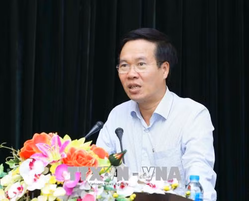 越南驻外代表机构为增进友谊与合作发挥桥梁作用 ảnh 1
