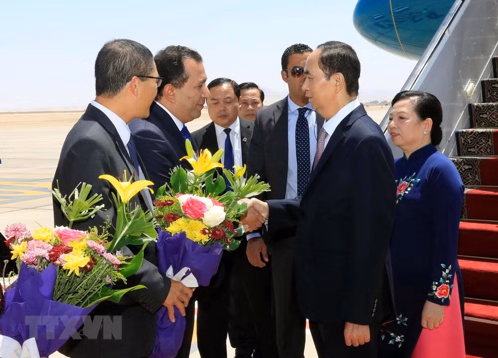 埃及媒体：陈大光访埃之旅将为两国合作开启新篇章 ảnh 1