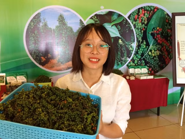 “广治省胡椒”地理标志公布 ảnh 2