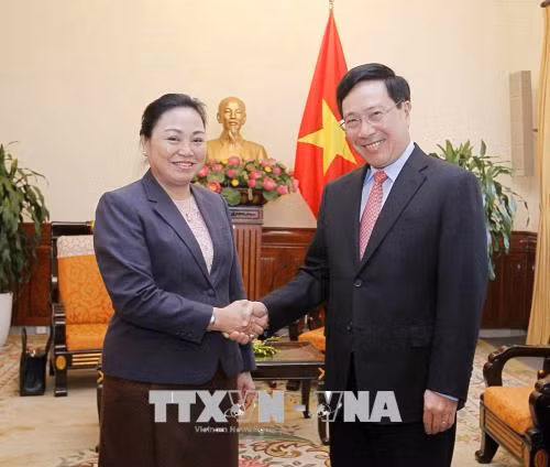 越南政府副总理兼外交部长范平明会见老挝外交副部长 ảnh 1