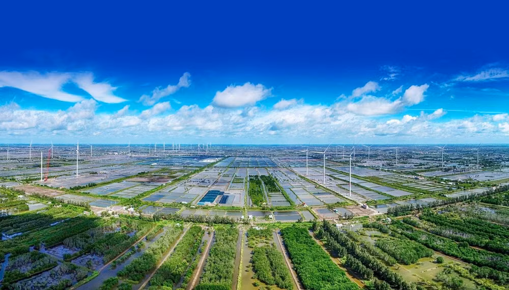转向更包容性和可持续的商业思维 ảnh 2