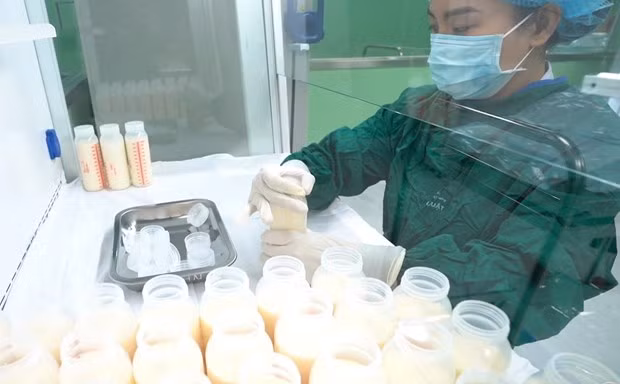  越南扩大生育津贴政策 为儿童创造良好的营养开端 ảnh 2