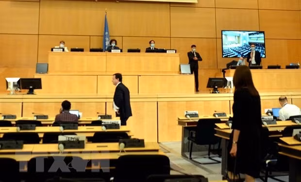 越南优先推动弱势人群享有人权 ảnh 2