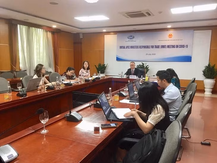 越南工贸部副部长陈国庆出席APEC贸易部长抗击新冠肺炎疫情视频会议 ảnh 1