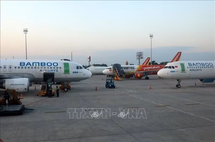 越南各家航空公司对国内航班飞行频率作出调整 ảnh 1