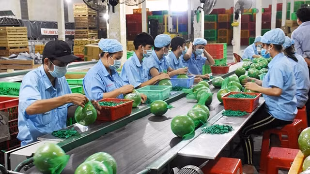越南槟椥省为中小型企业对接资金 ảnh 1