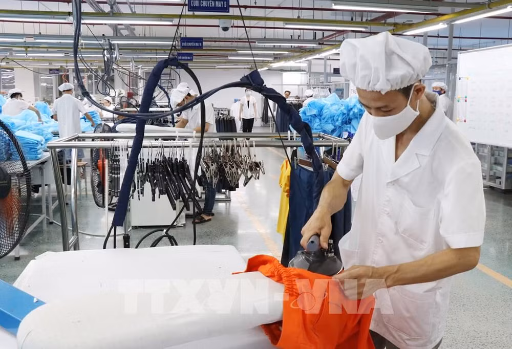 Fitch Solutions:越南纺织服装业拥有巨大的发展机遇 ảnh 1