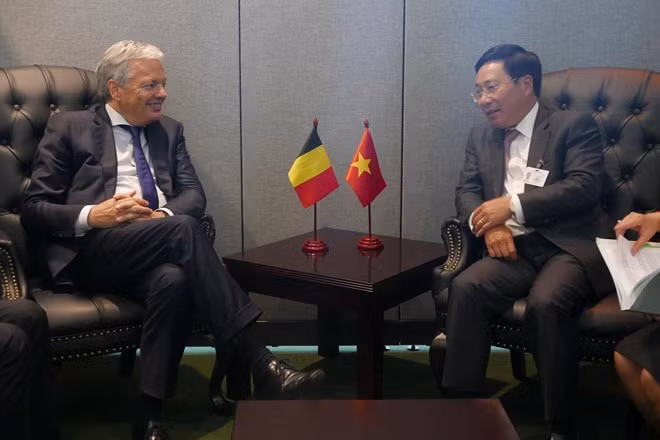 越南政府副总理兼外长范平明与各国领导进行双边会晤 ảnh 1 越南政府副总理兼外长范平明与各国领导进行双边会晤 ảnh 1