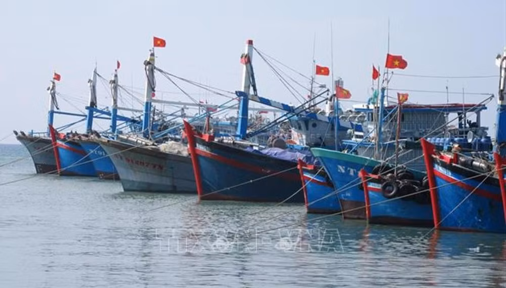 解除IUU“黄牌警告”:越南渔业界下定决心打击非法捕捞 ảnh 1 解除IUU“黄牌警告”:越南渔业界下定决心打击非法捕捞 ảnh 1