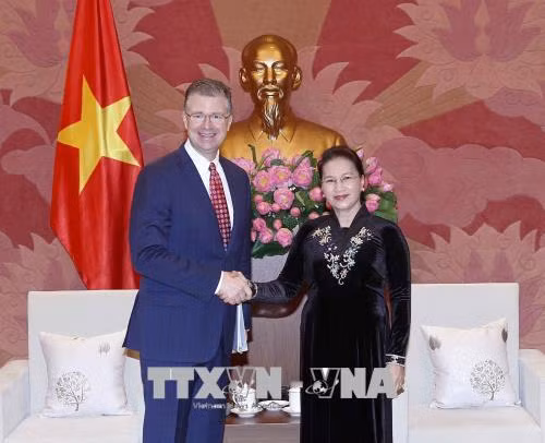 美国将越南的繁荣昌盛视为两国的共同利益 ảnh 1