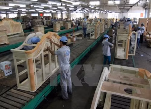 荷兰成为越南企业的潜力出口市场 ảnh 1