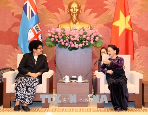 越南国会主席阮氏金银会见斐济议长吉科•卢维尼 ảnh 2