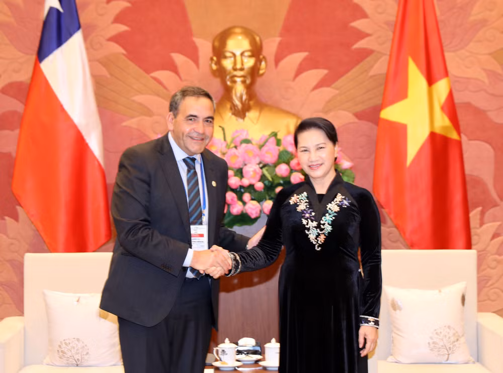 越南国会主席阮氏金银会见智利众议院议长 ảnh 1